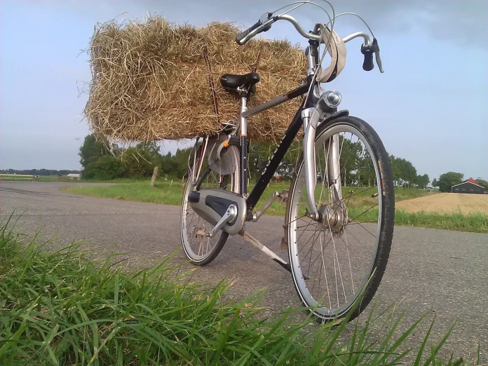 Verzin een Onderschrift 13 augustus 2025