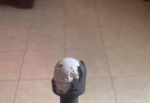 Verzin een Onderschrift 17 december 2025