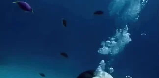 Verzin een Onderschrift 19 december 2025