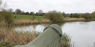 Verzin een Onderschrift 5 februari 2026