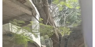 Verzin een Onderschrift 18 februari 2026