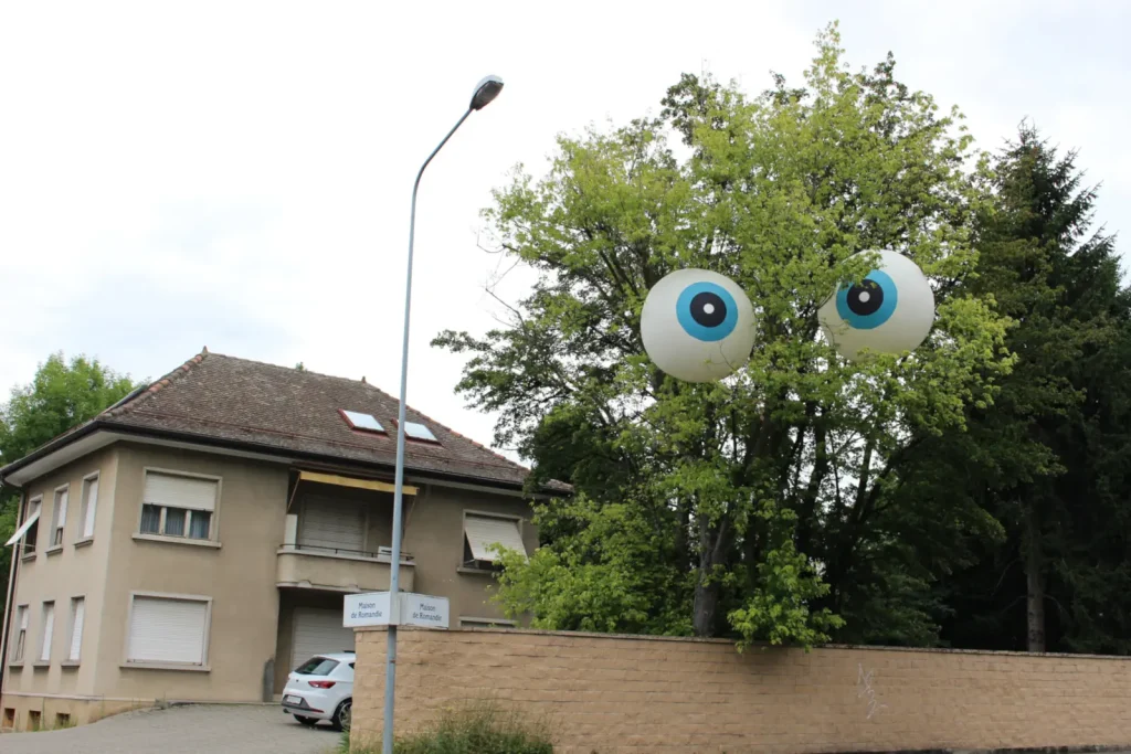 © Terry Rook - Glance Image