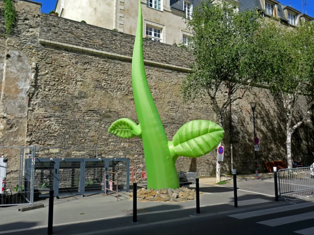 © Terry Rook - Glance Image